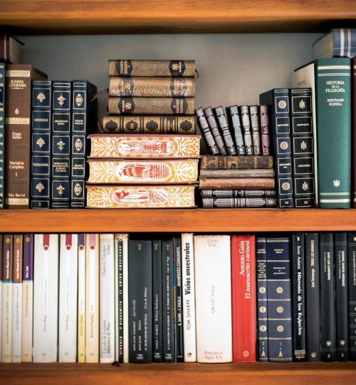 A detailed view of a bookshelf with vintage and classic books arranged neatly, offering a historic ambiance.