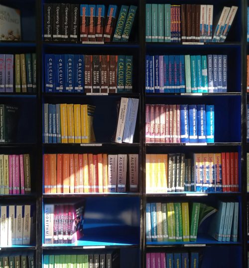 A vibrant library bookshelf displaying a range of educational books organized by subject.